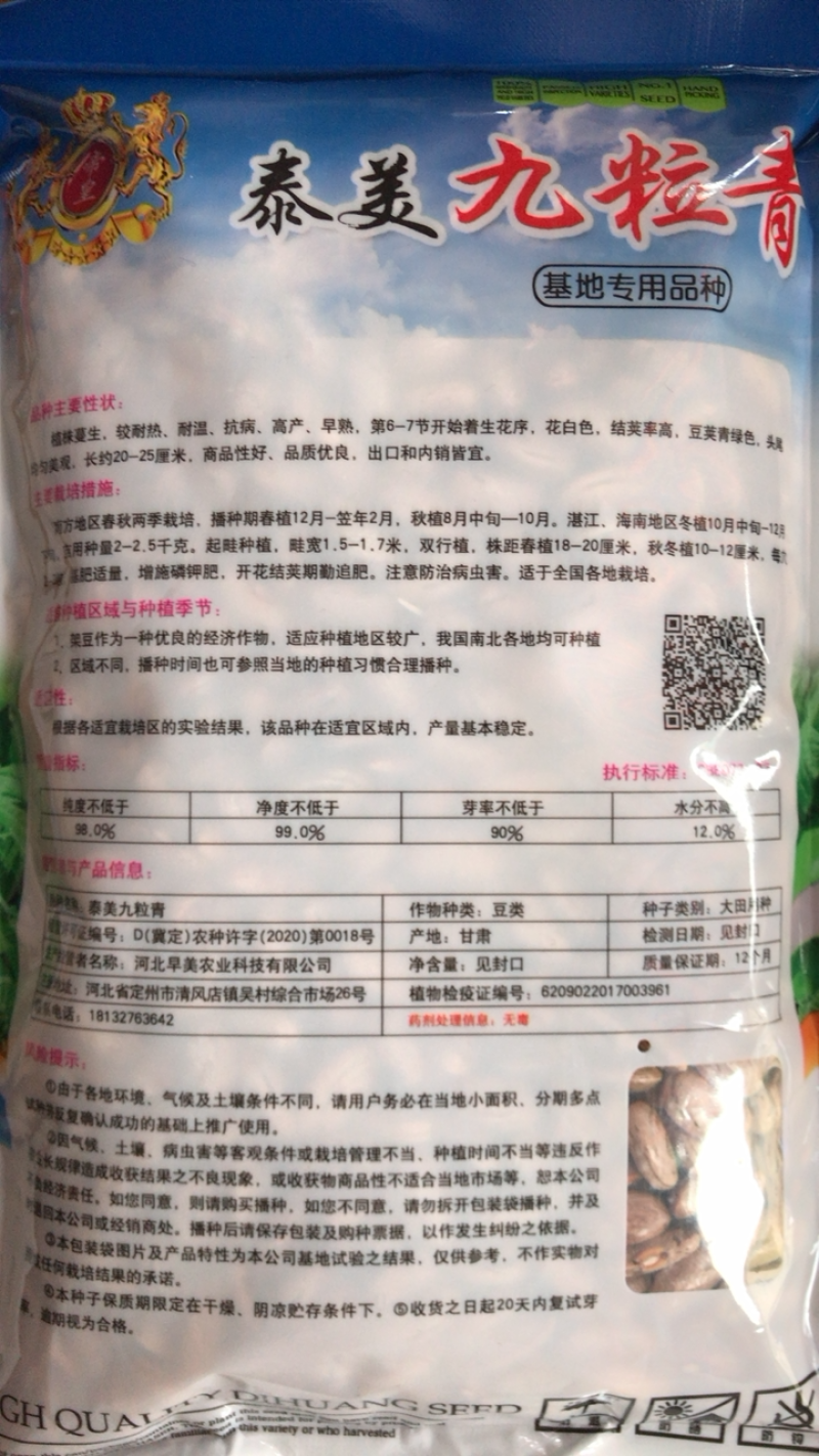 青棒豆种子九粒青
