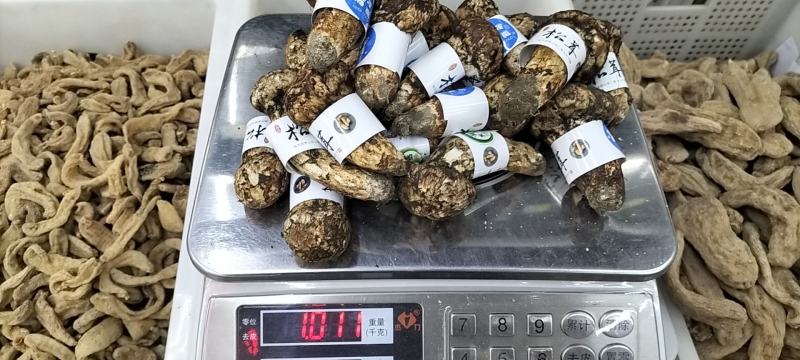 香格里拉松茸云南野生松茸新鲜松茸礼盒顺丰生鲜直达