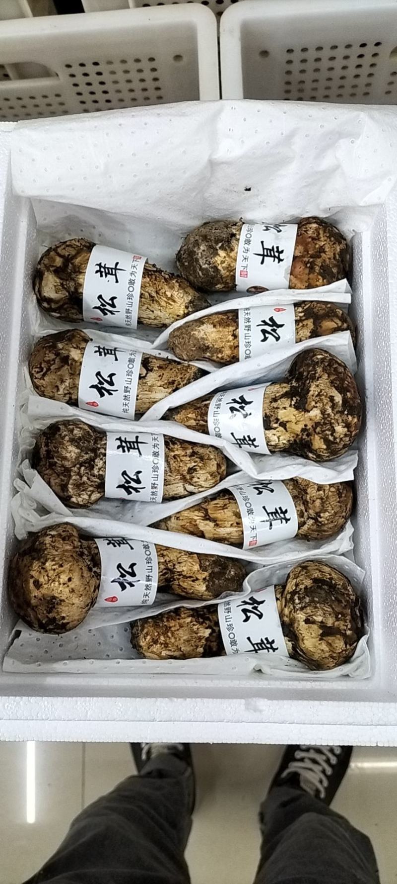 香格里拉松茸云南野生松茸新鲜松茸礼盒顺丰生鲜直达