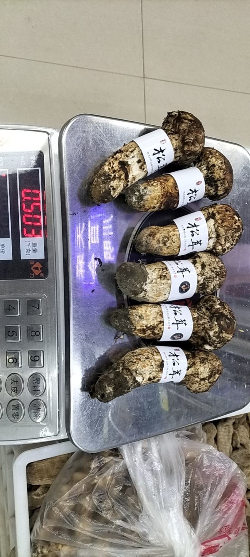 香格里拉松茸云南野生松茸新鲜松茸礼盒顺丰生鲜直达