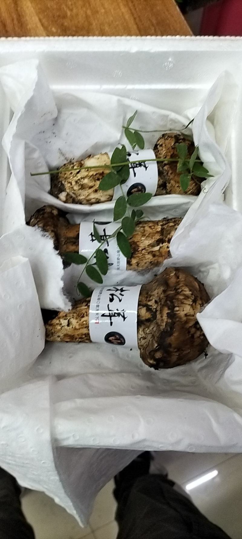 香格里拉松茸云南野生松茸新鲜松茸礼盒顺丰生鲜直达