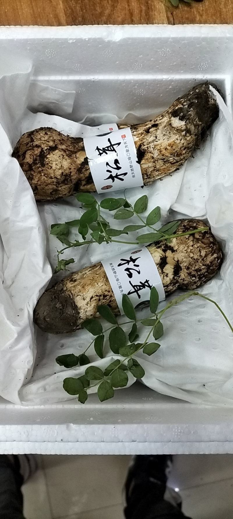 香格里拉松茸云南野生松茸新鲜松茸礼盒顺丰生鲜直达