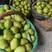 陕西蒲城红香酥梨大量上市，口感甜，果面好，基地供应