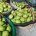 陕西蒲城红香酥梨大量上市，口感甜，果面好，基地供应