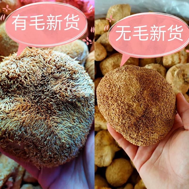 无硫猴头菇干货养胃食用菌质量有包证一件代发