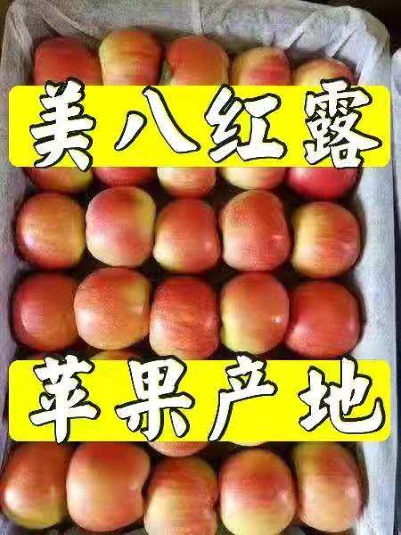 美八，红露苹果保证质量.产地直销全国发货