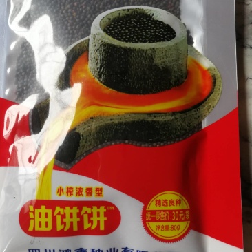 油饼饼油菜籽种子，全生育期200一210天。油量特別大。
