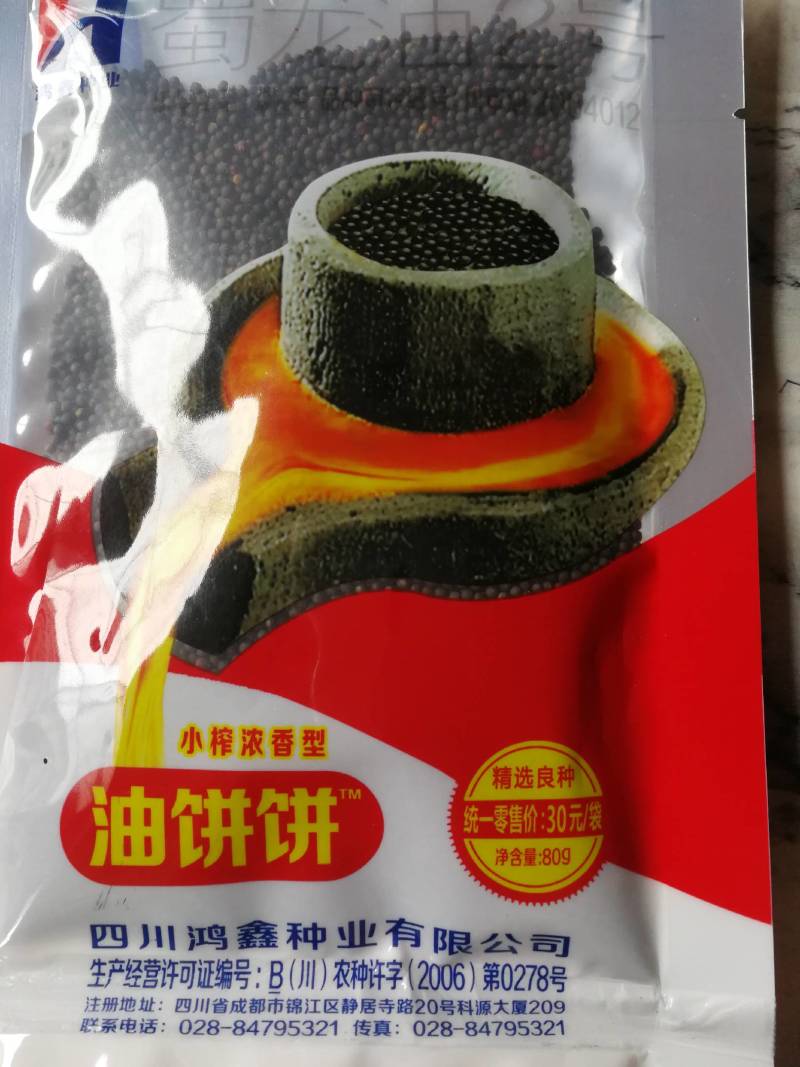 油饼饼油菜籽种子，全生育期200一210天。油量特別大。