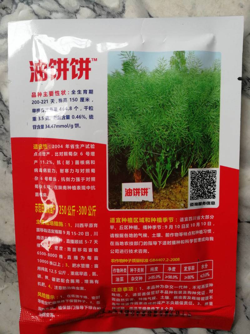 油饼饼油菜籽种子，全生育期200一210天。油量特別大。