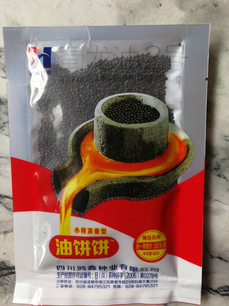 油饼饼油菜籽种子，全生育期200一210天。油量特別大。