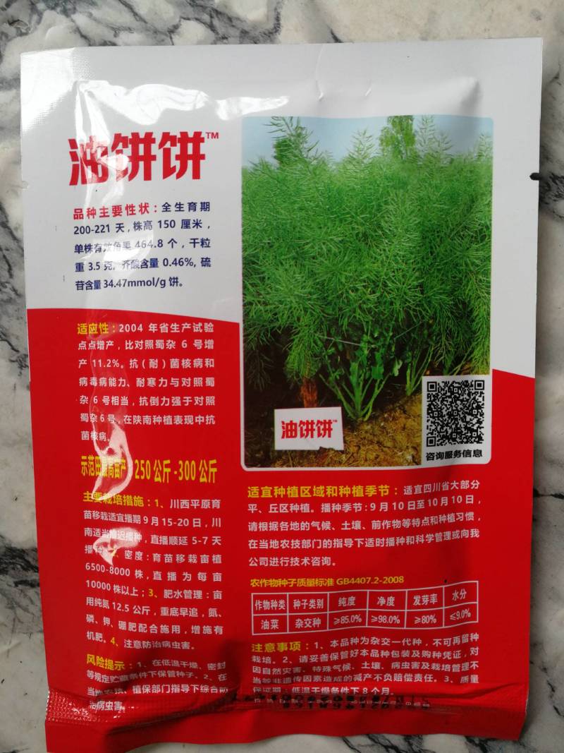 油饼饼油菜籽种子，全生育期200一210天。油量特別大。
