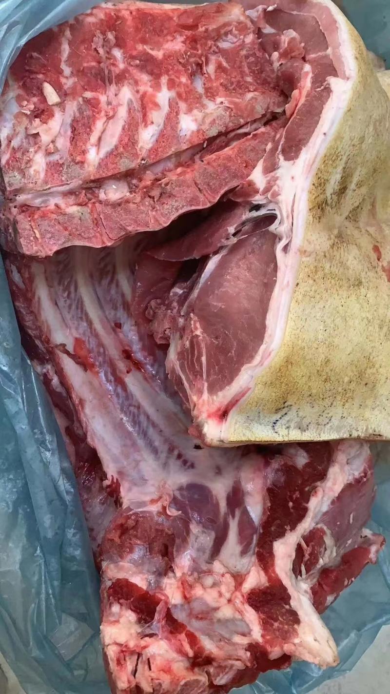 深山放养山猪肉土猪肉批发生鲜店饭店酒楼土特产