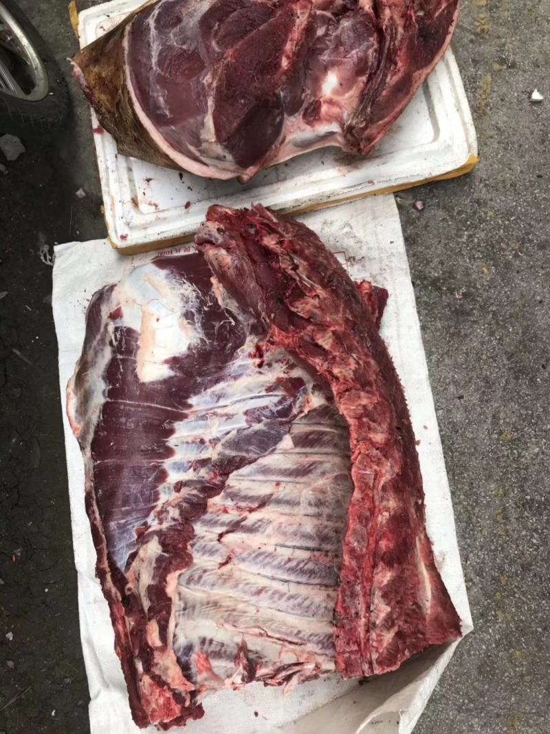 深山放养山猪肉土猪肉批发生鲜店饭店酒楼土特产