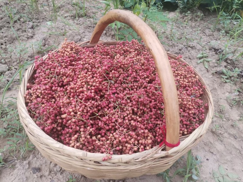 干花椒