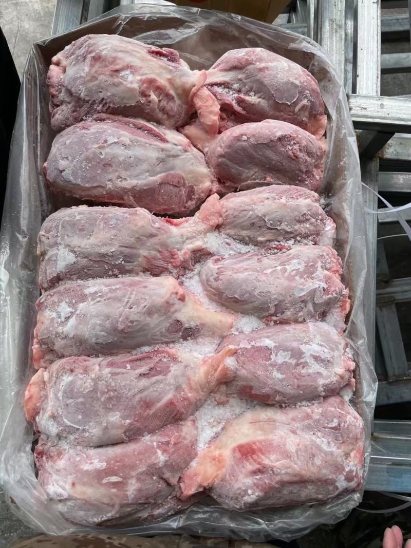 母猪国产腱子肉龟腱干货