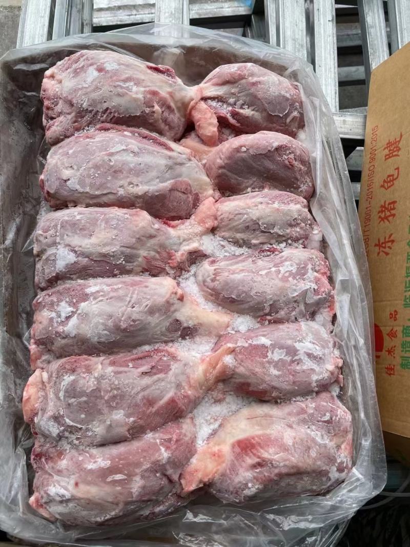 母猪国产腱子肉龟腱干货