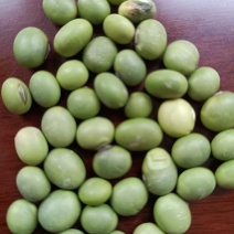 双青豆！大青豆！小青豆，炒菜泡菜都可以！