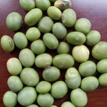 双青豆！大青豆！小青豆，炒菜泡菜都可以！