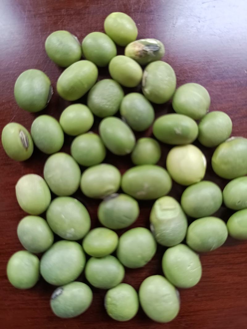 双青豆！大青豆！小青豆，炒菜泡菜都可以！