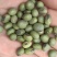 双青豆！大青豆！小青豆，炒菜泡菜都可以！