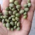 双青豆！大青豆！小青豆，炒菜泡菜都可以！
