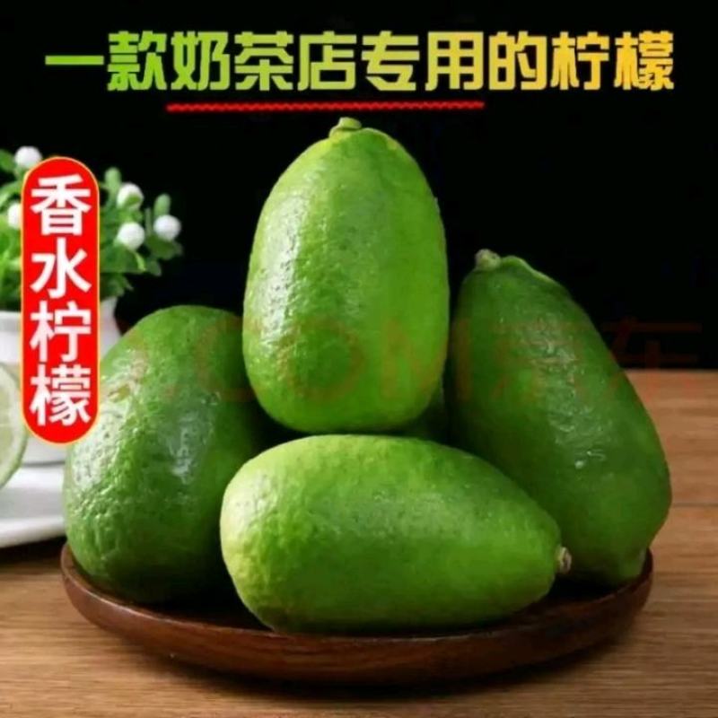 海南广东无籽柠檬香水柠檬子弹头柠檬种植基地，对接市场