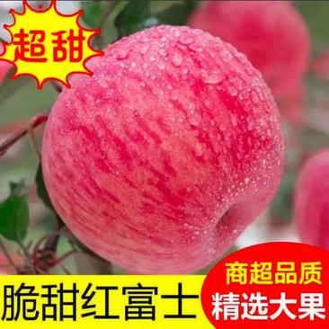 红富士苹果货源充足，产地直供货源，价格便宜脆甜