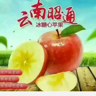 昭通丑苹果，最甜的心，最丑的外表