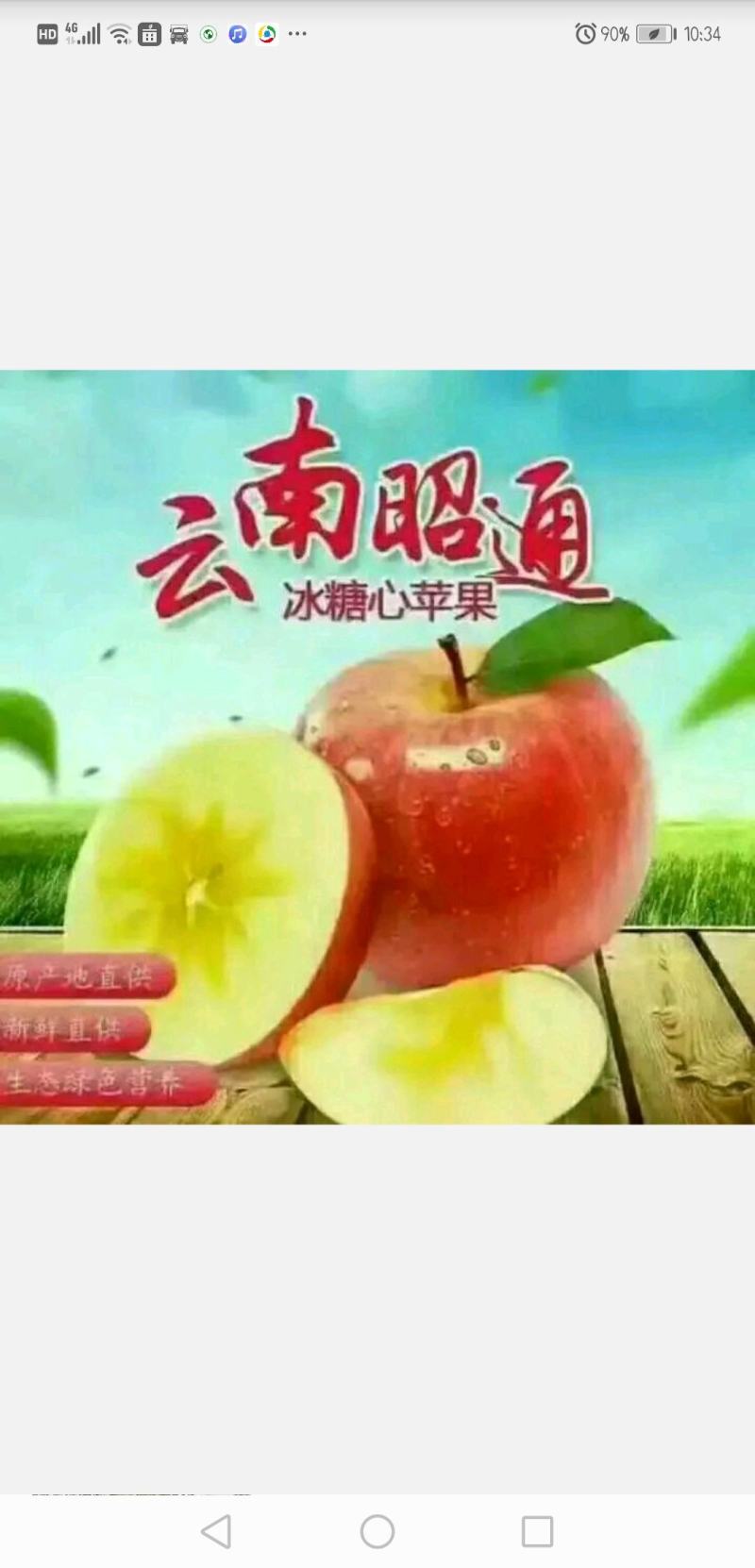 昭通丑苹果，最甜的心，最丑的外表