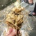 竹节参成品大量质量保证
