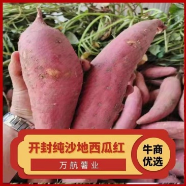开封纯沙地西瓜红，超市-市场-电商，产地直发，货源充足