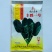 丰胜一号菠菜种子进口丹麦品种，杂交一代圆叶产量品种种子