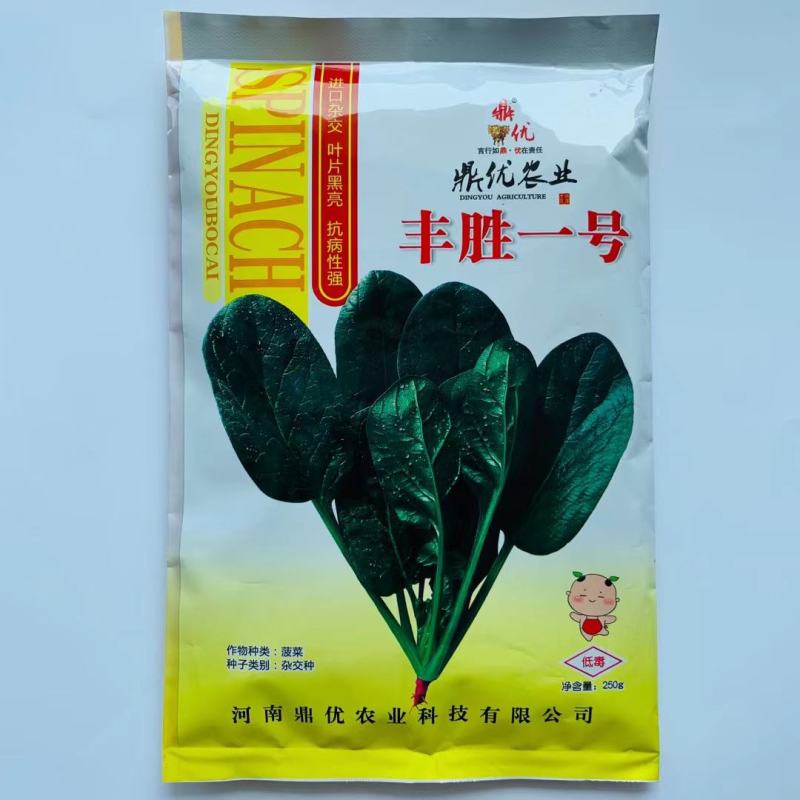 丰胜一号菠菜种子进口丹麦品种，杂交一代圆叶产量品种种子