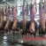 鲜牛肉，西门塔尔公牛每天现宰【内蒙古】牧场直供，每天现宰