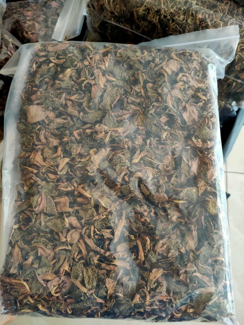 【闽之宝】福建大圆叶金线莲干品种植金线莲整株鲜品干品