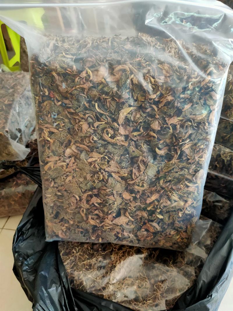 【闽之宝】福建大圆叶金线莲干品种植金线莲整株鲜品干品