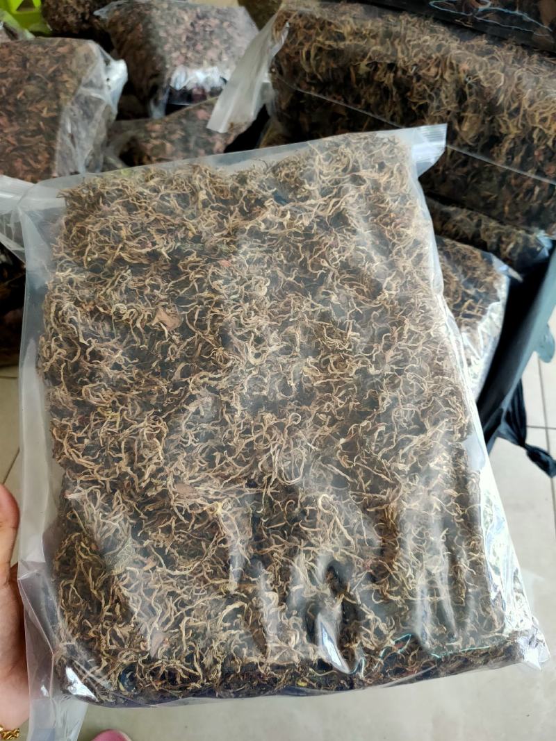 【闽之宝】福建大圆叶金线莲干品种植金线莲整株鲜品干品