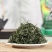 云南绿茶茶叶香浓型2022头春新茶散装茶毛尖茶云雾茶毛峰