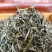 云南绿茶茶叶香浓型2022头春新茶散装茶毛尖茶云雾茶毛峰