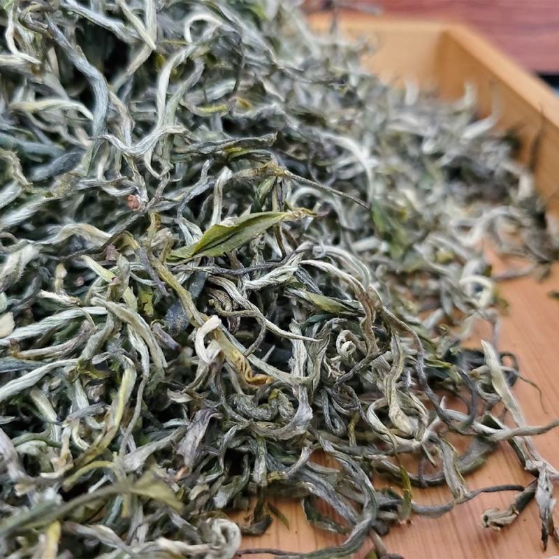 云南绿茶茶叶香浓型2022头春新茶散装茶毛尖茶云雾茶毛峰