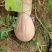 蜜本南瓜四川绵阳产地供应自然全黄枕头南瓜