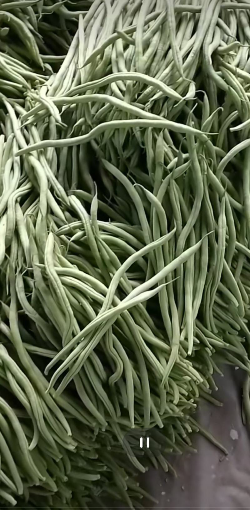 架豆王豆角泰育架豆王属于无筋豆品种，豆荚很嫩，品质优，