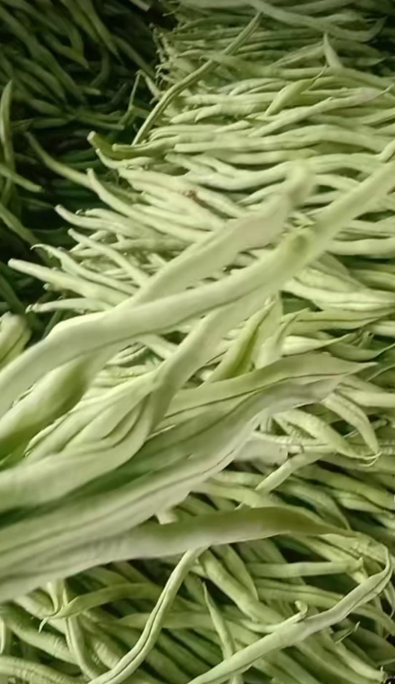 架豆王豆角泰育架豆王属于无筋豆品种，豆荚很嫩，品质优，