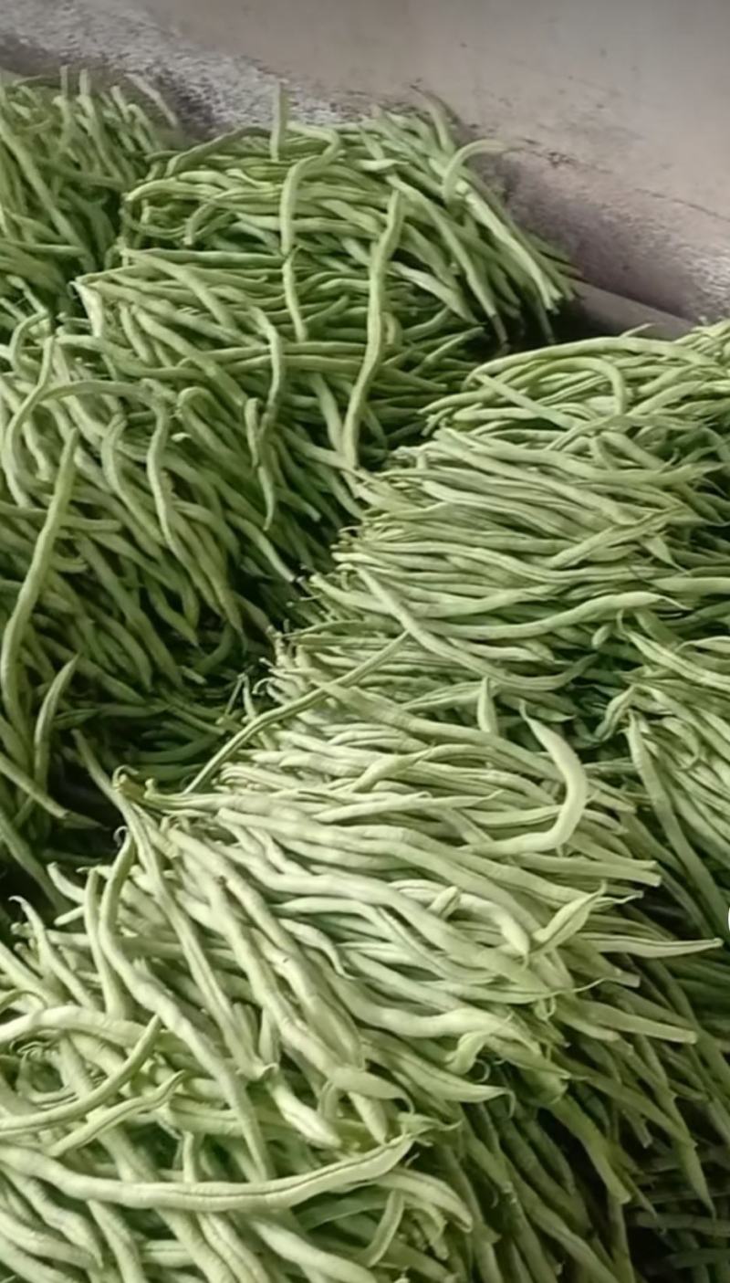 架豆王豆角泰育架豆王属于无筋豆品种，豆荚很嫩，品质优，