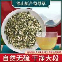 益母草泡水喝调理月经姨妈与中药茶艾草泡脚颗粒野生新鲜益母