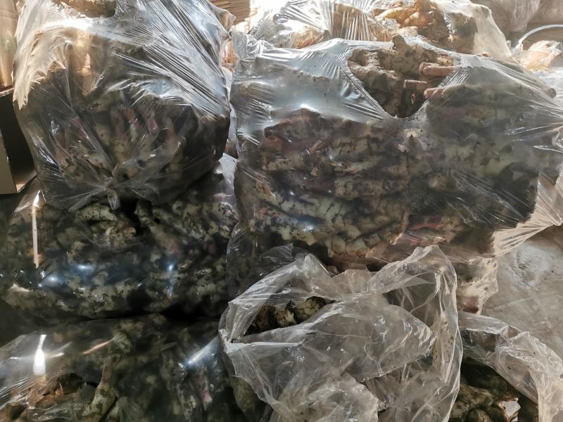 山东潍坊安丘红芽鲜姜仔姜电商发货