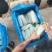 精品西葫芦上市了，市场货工厂货，货源充足，
