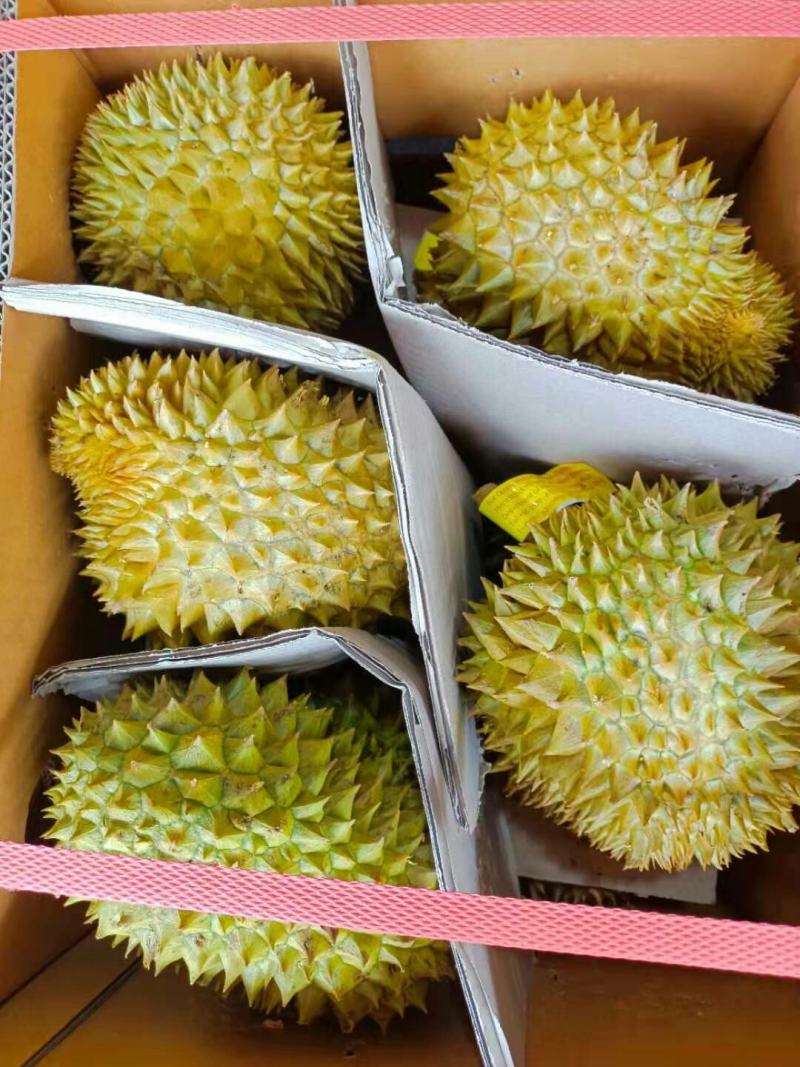 批发【榴莲】肉多香甜5～6头各种品牌都有实惠价