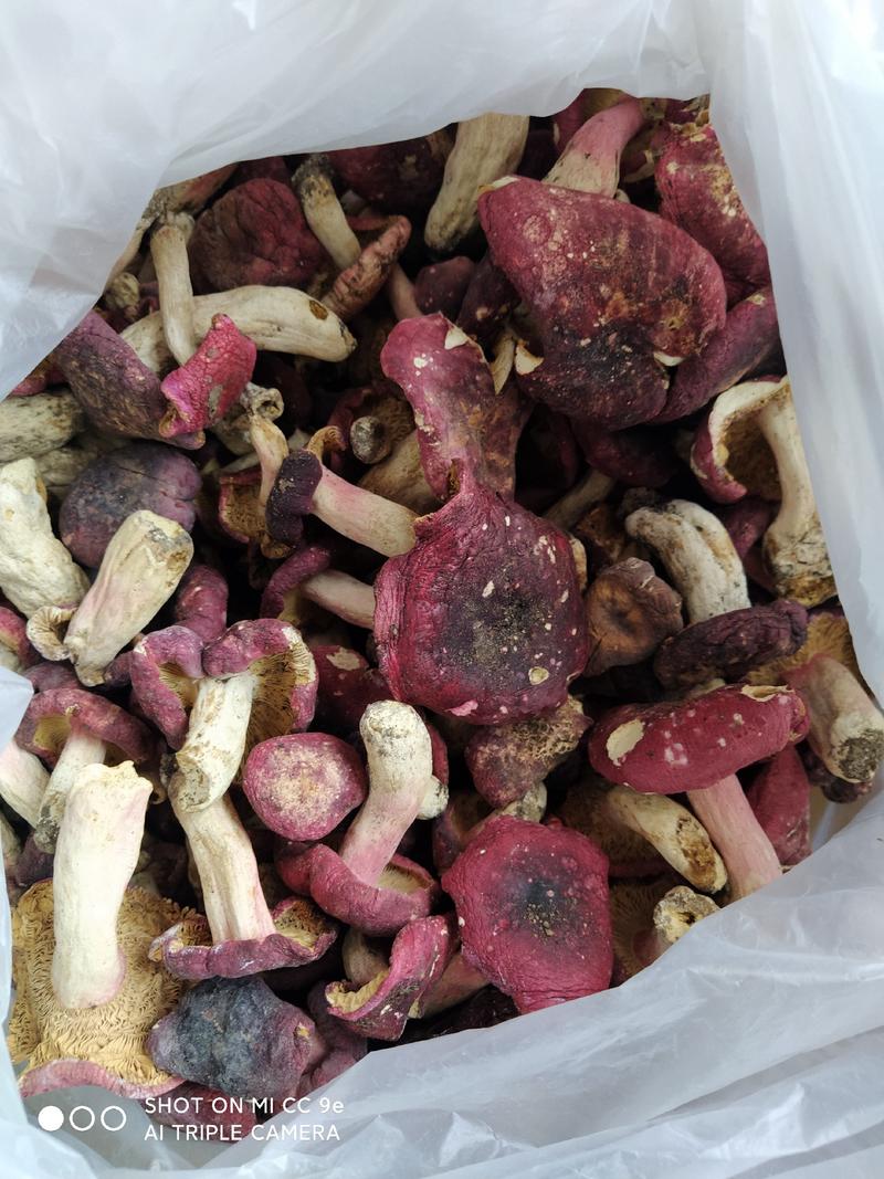 河南纯野生原生态红蘑菇二级3-5cm