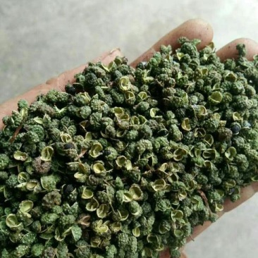 贵州毕节威宁九叶青花椒